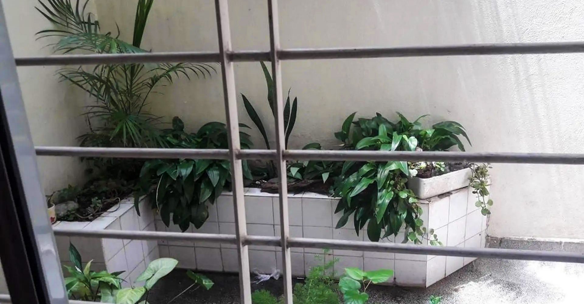 EMILIO MITRE 100, Piso PB